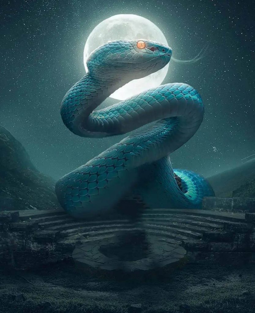Big Snake Concept Cb Background Free Stock Image